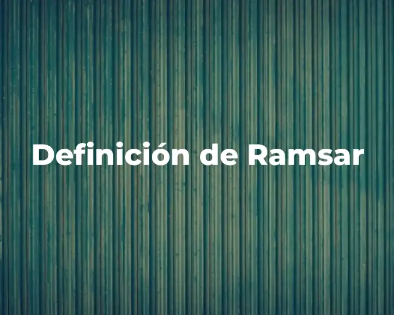 Definición de Ramsar