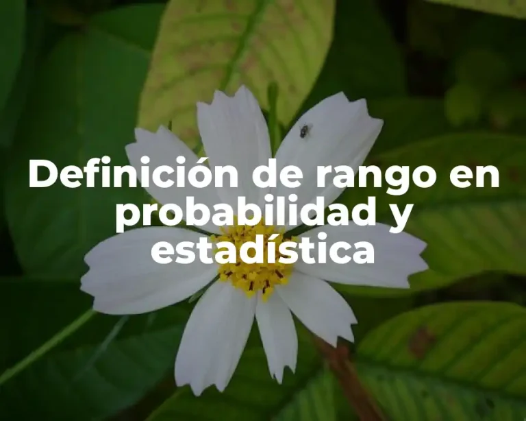 Definición de rango en probabilidad y estadística