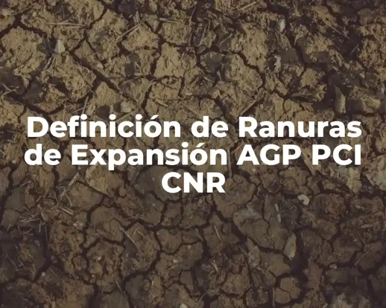 Definición de Ranuras de Expansión AGP PCI CNR