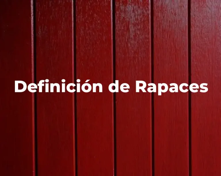 Definición de Rapaces