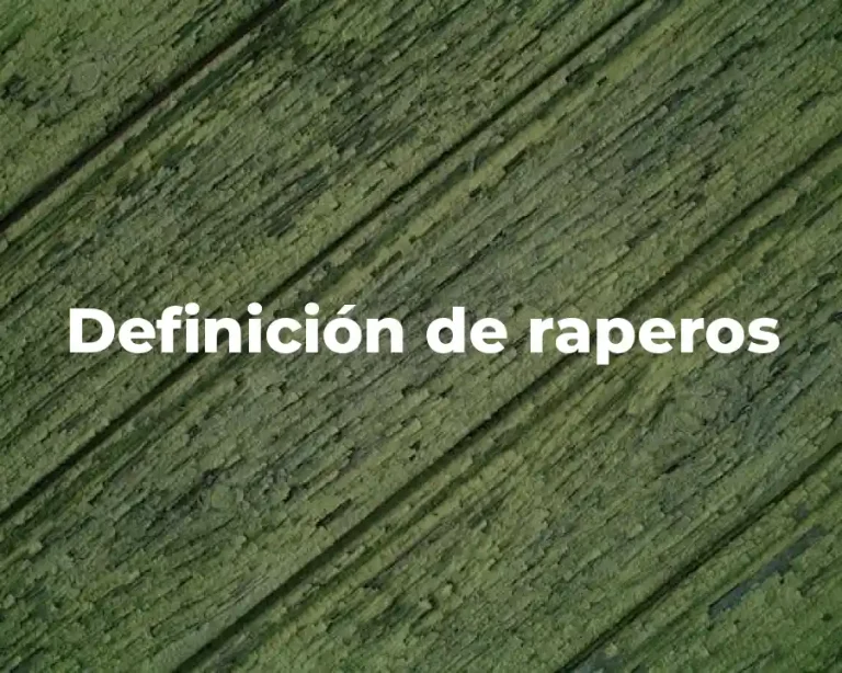 Definición de raperos