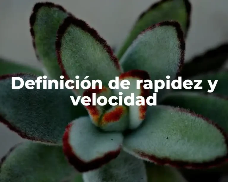 Definición de rapidez y velocidad