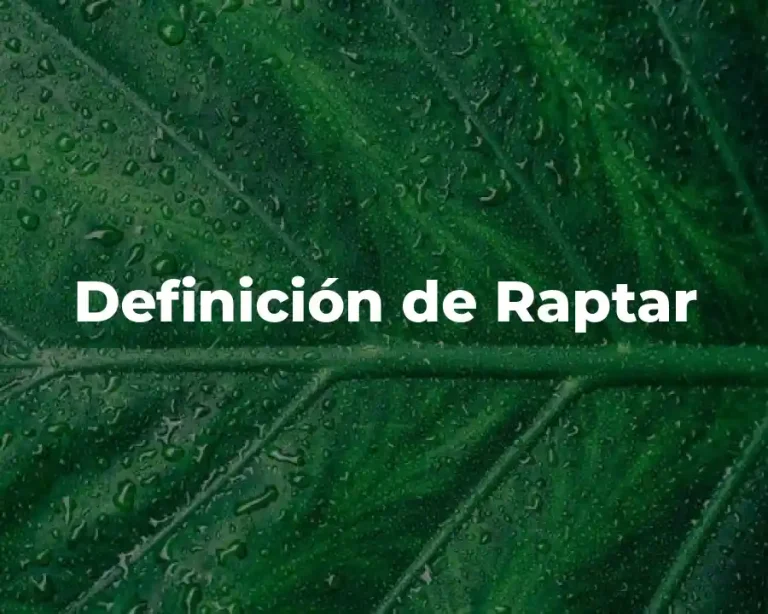 Definición de Raptar