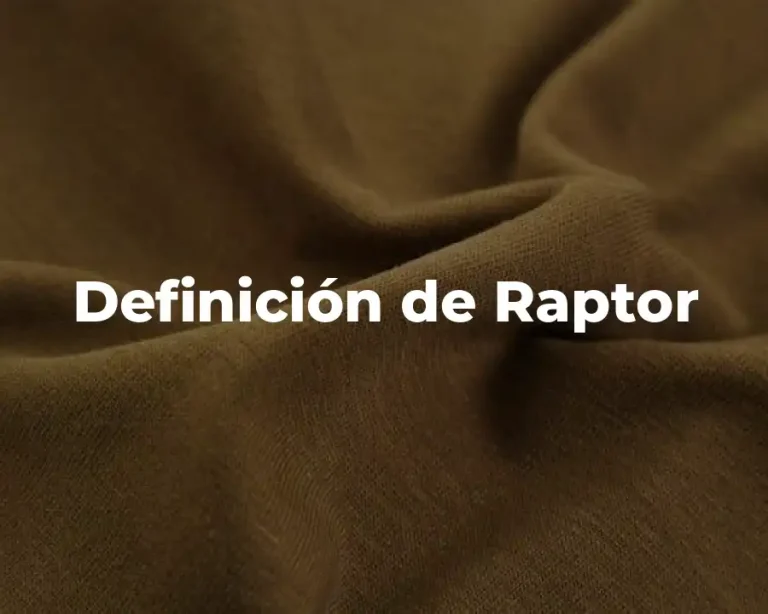 Definición de Raptor