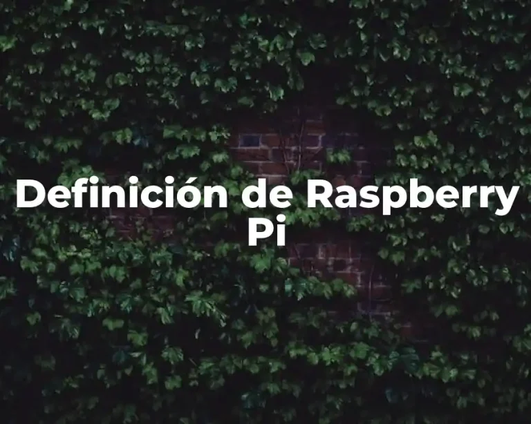 Definición de Raspberry Pi