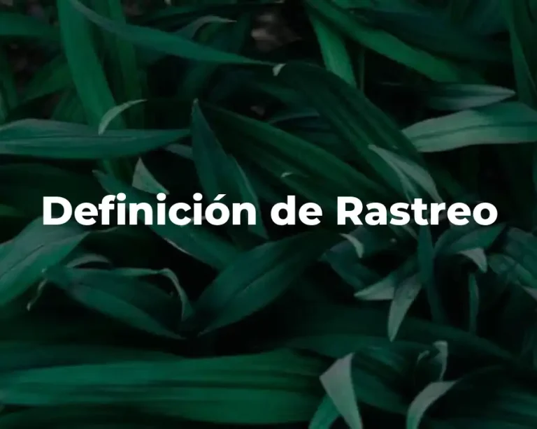 Definición de Rastreo