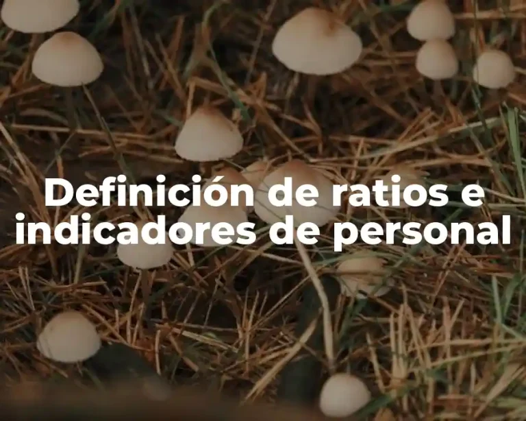 Definición de ratios e indicadores de personal