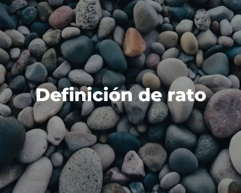 Definición de rato