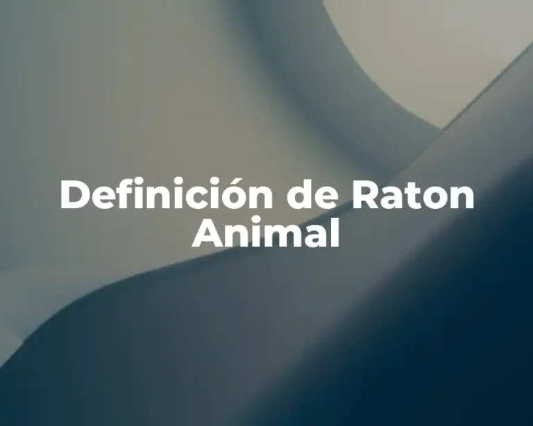 Definición de Raton Animal