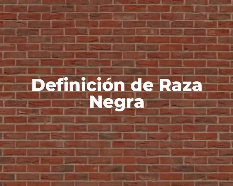 Definición de Raza Negra