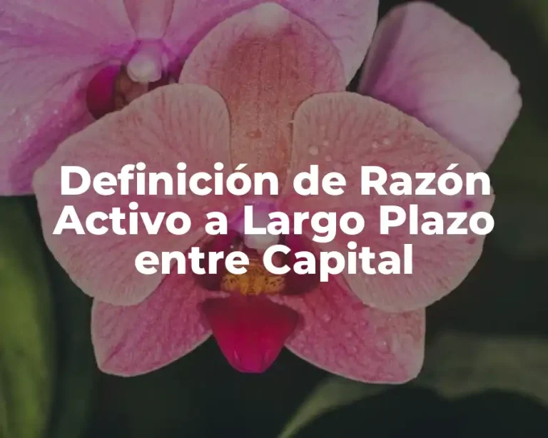 Definición de Razón Activo a Largo Plazo entre Capital