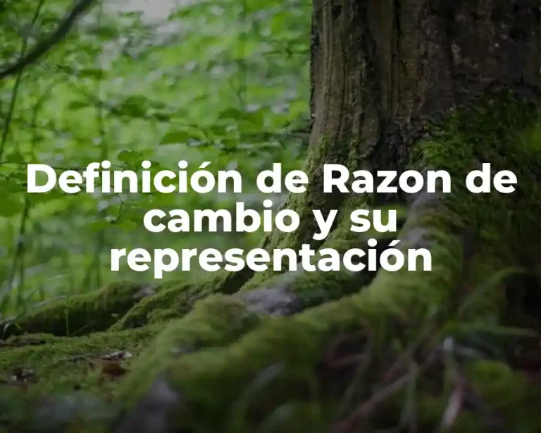 Definición de Razon de cambio y su representación