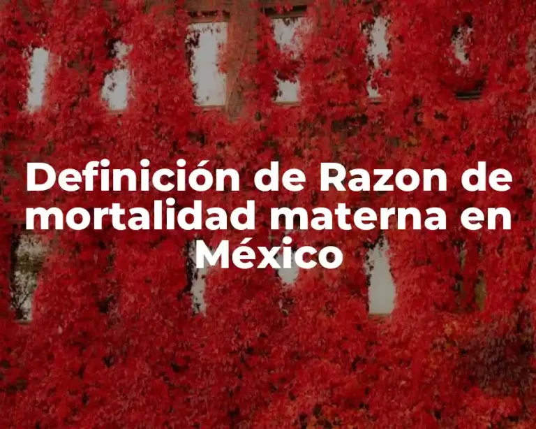 Definición de Razon de mortalidad materna en México
