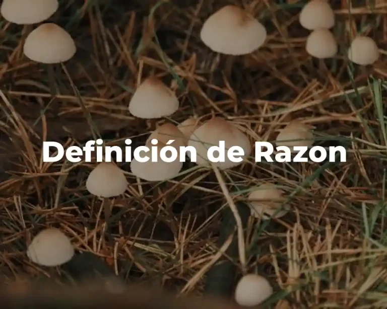 Definición de Razon