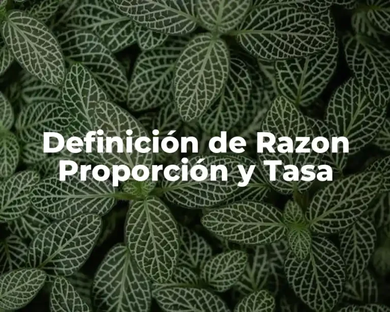 Definición de Razon Proporción y Tasa