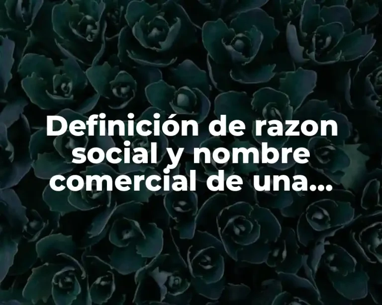 Definición de razon social y nombre comercial de una empresa