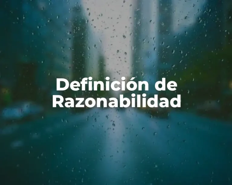 Definición de Razonabilidad