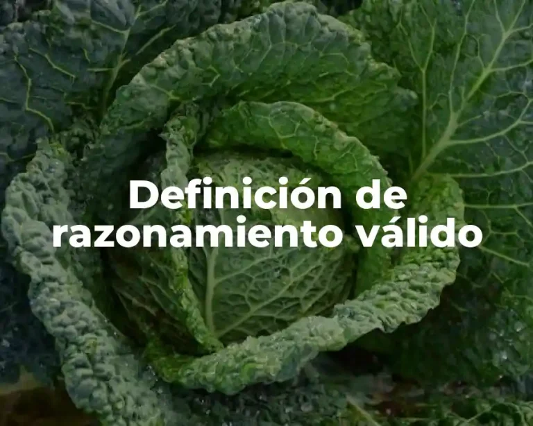 Definición de razonamiento válido