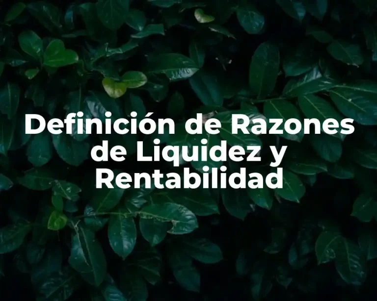 Definición de Razones de Liquidez y Rentabilidad