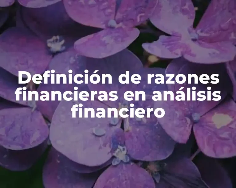 Definición de razones financieras en análisis financiero