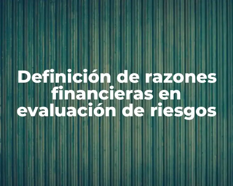 Definición de razones financieras en evaluación de riesgos