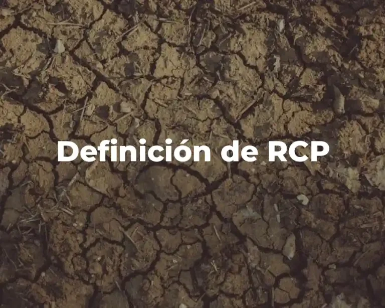 Definición de RCP