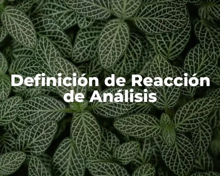 Definición de Reacción de Análisis