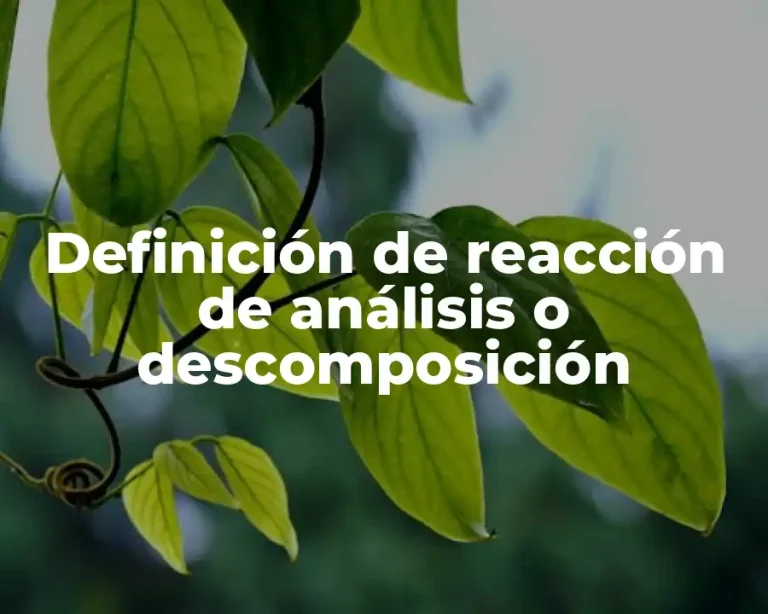 Definición de reacción de análisis o descomposición