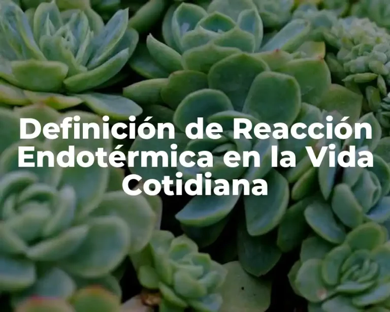 Definición de Reacción Endotérmica en la Vida Cotidiana