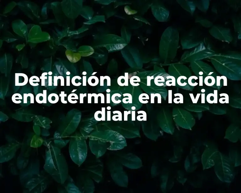Definición de reacción endotérmica en la vida diaria