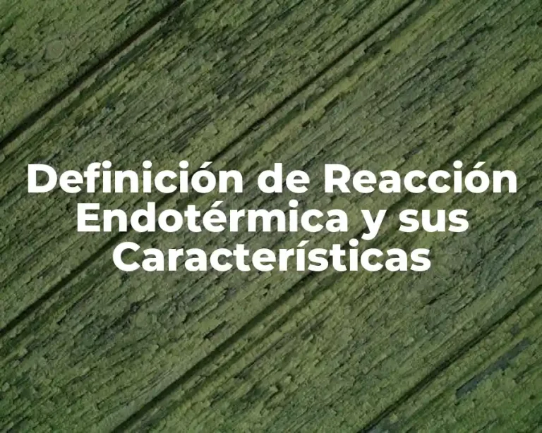 Definición de Reacción Endotérmica y sus Características