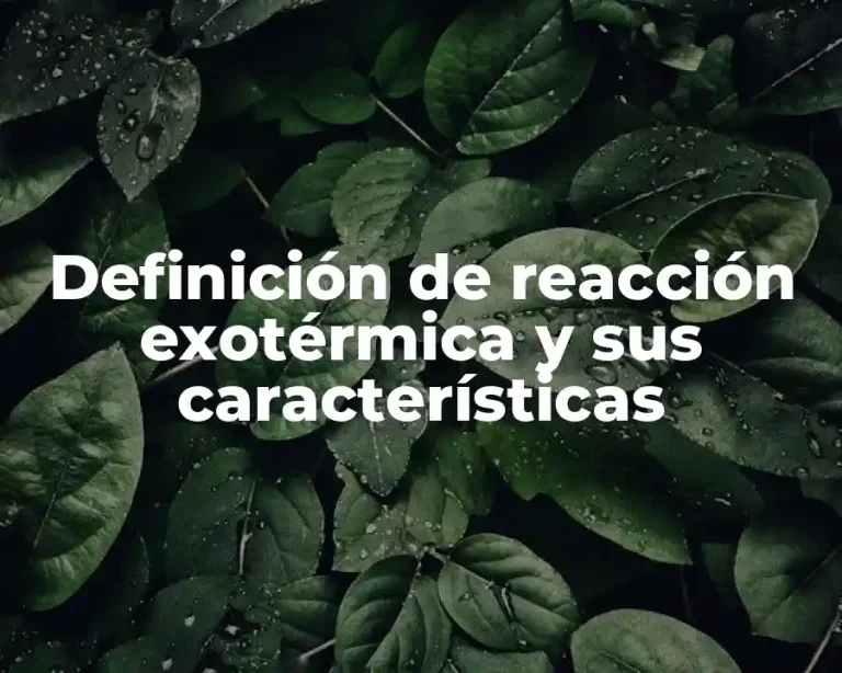 Definición de reacción exotérmica y sus características
