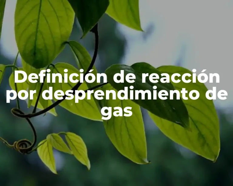 Definición de reacción por desprendimiento de gas