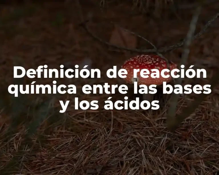 Definición de reacción química entre las bases y los ácidos