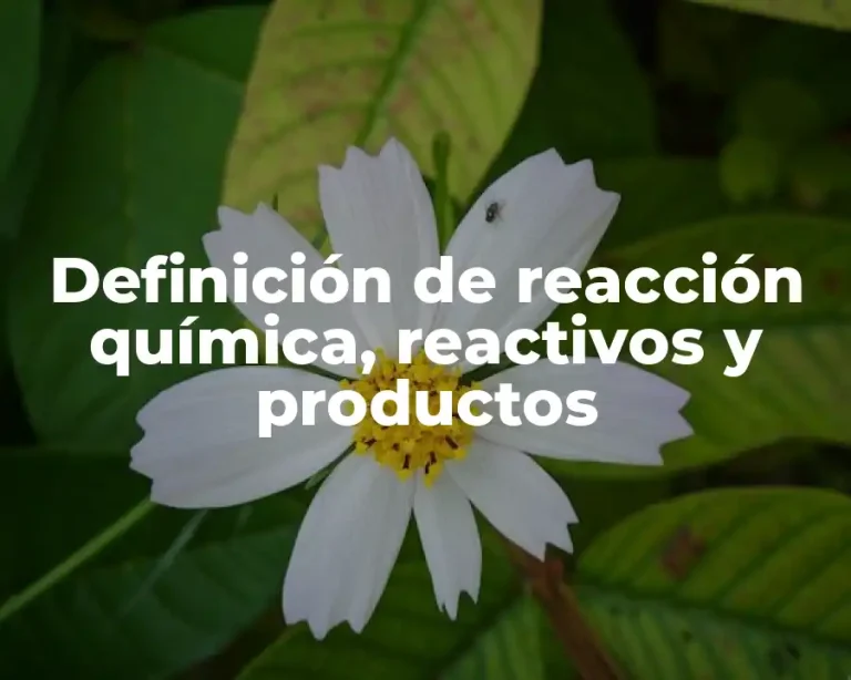 Definición de reacción química, reactivos y productos
