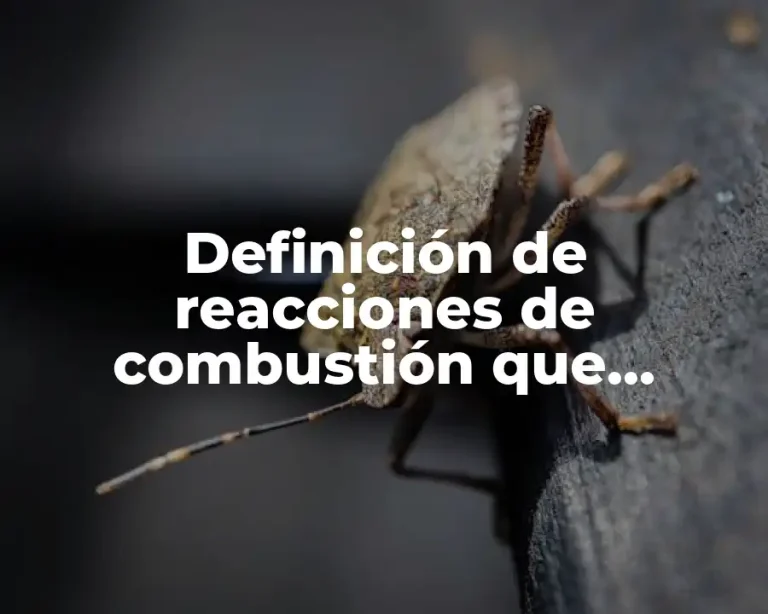Definición de reacciones de combustión que contribuyen a la contaminación