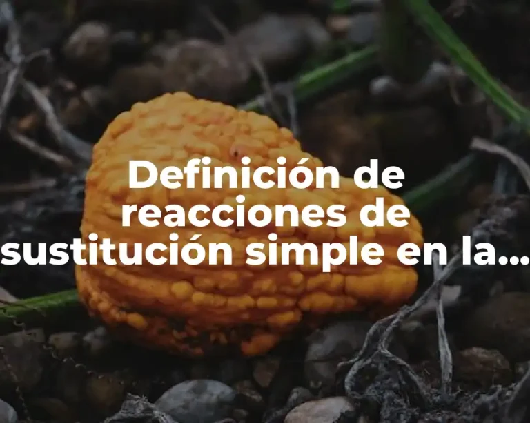 Definición de reacciones de sustitución simple en la vida cotidiana