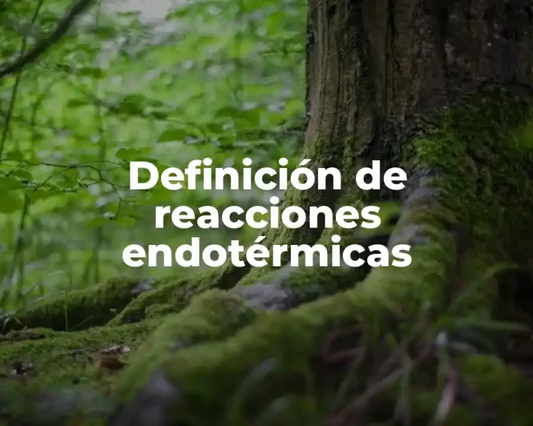 Definición de reacciones endotérmicas