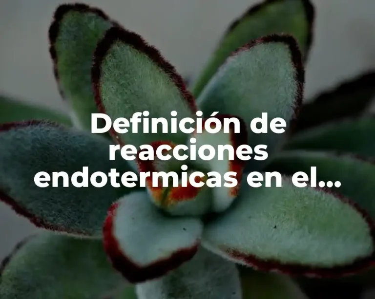 Definición de reacciones endotermicas en el cuerpo humano