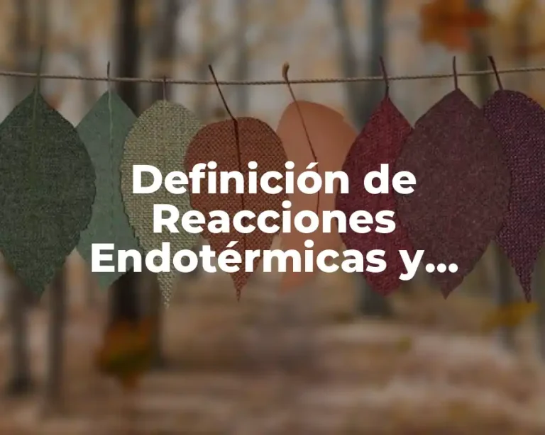 Definición de Reacciones Endotérmicas y Exotérmicas