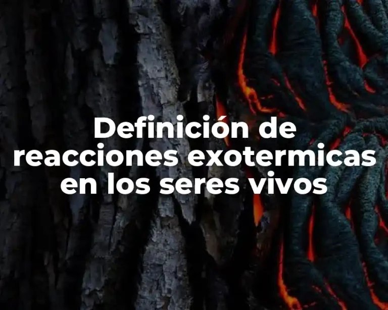 Definición de reacciones exotermicas en los seres vivos