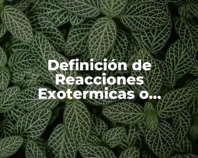 Definición de Reacciones Exotermicas o Exergónicas