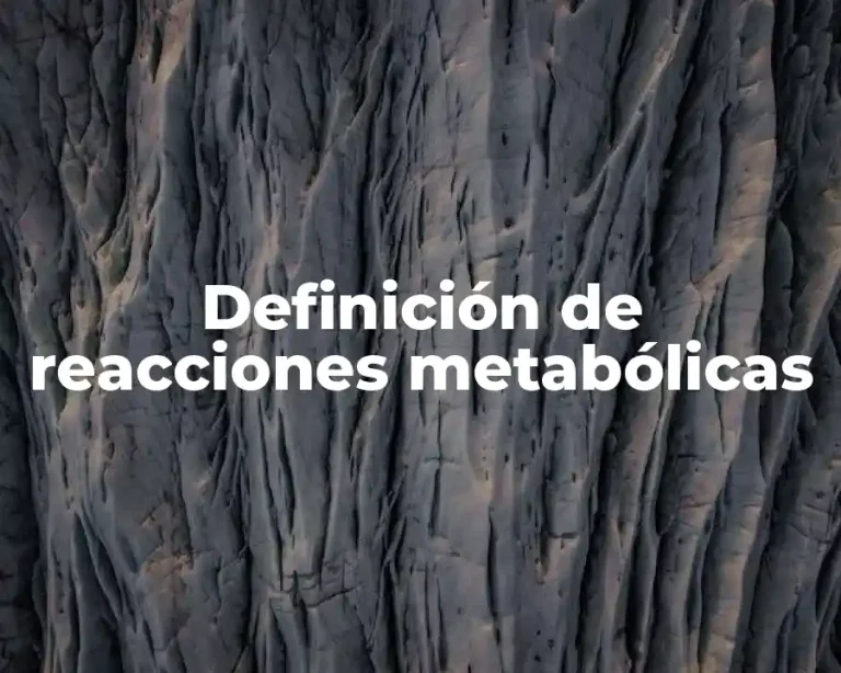 Definición de reacciones metabólicas