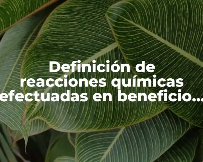 Definición de reacciones químicas efectuadas en beneficio del ser humano
