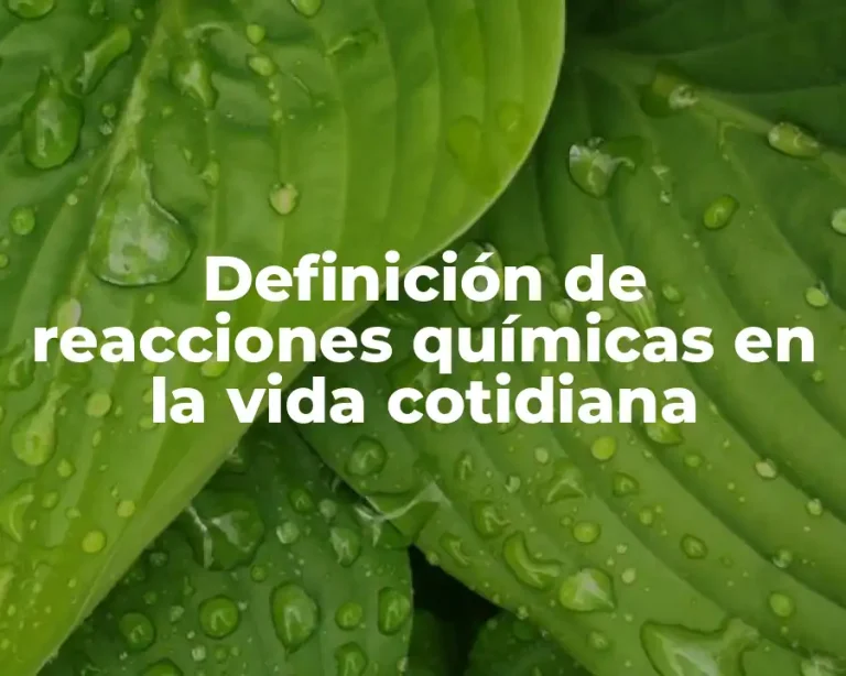 Definición de reacciones químicas en la vida cotidiana