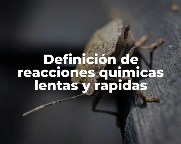 Definición de reacciones quimicas lentas y rapidas