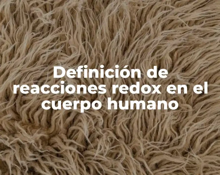 Definición de reacciones redox en el cuerpo humano