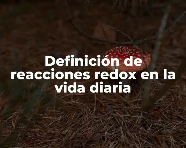 Definición de reacciones redox en la vida diaria