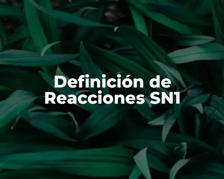 Definición de Reacciones SN1