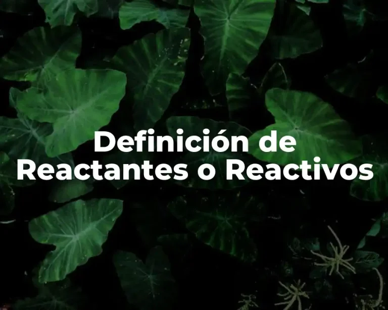 Definición de Reactantes o Reactivos